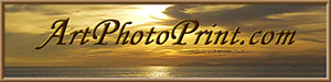 ArtPhotoPrint Logo